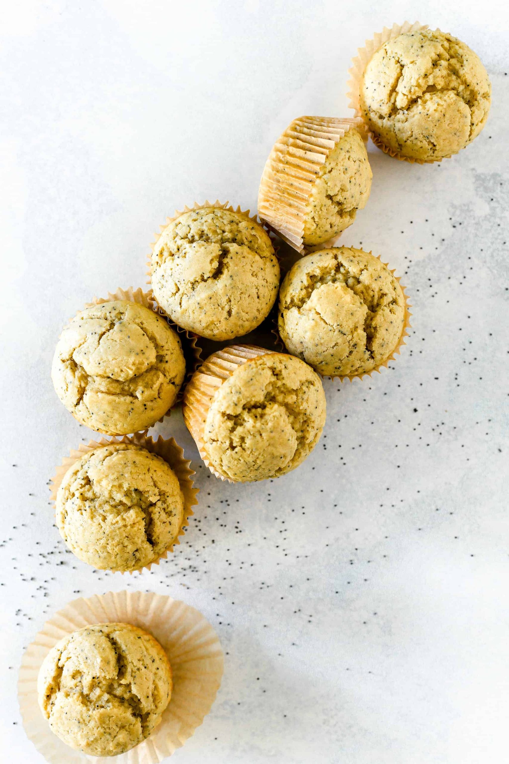 Vegan Almond Poppy Seed Muffins on a blue surface surrounded by scattered poppy seeds.