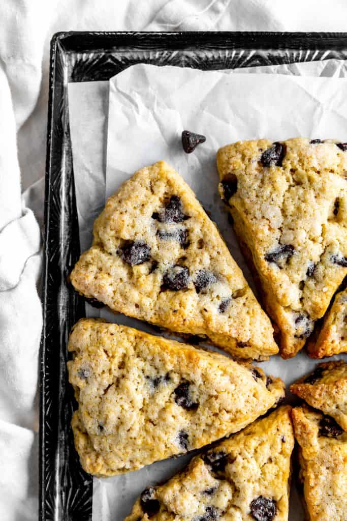 Chocolate chip scones arranged in a circle on a baking sheet.