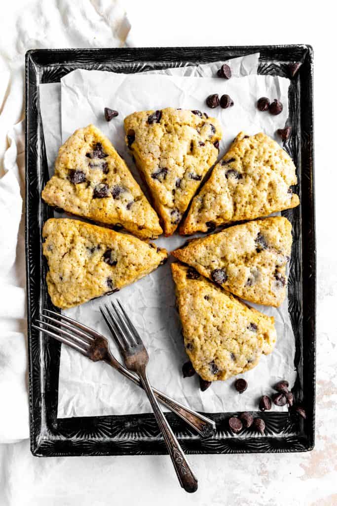 Vegan chocolate chip scones arranged in a circle on a baking sheet with forks.