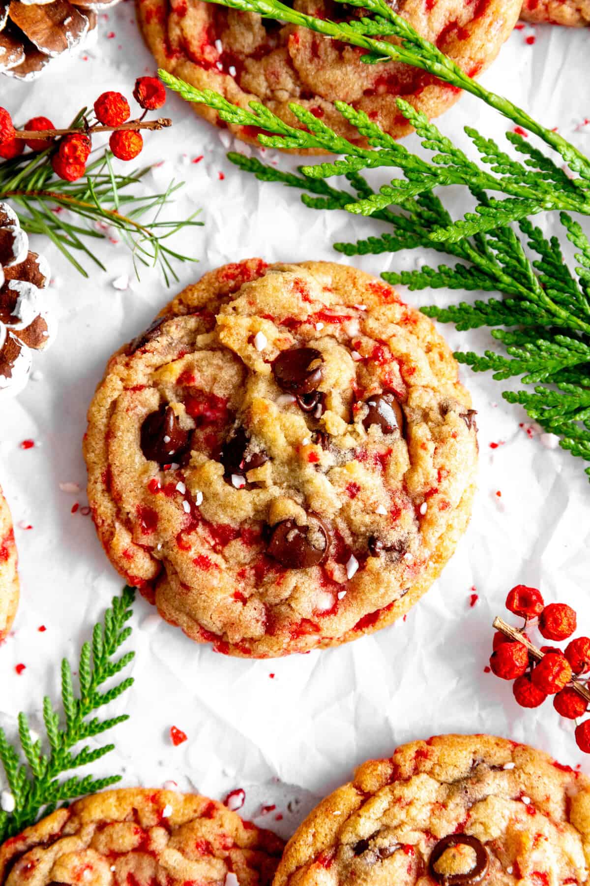 Candy cane chocolate chip cookie on a white background with ferns.