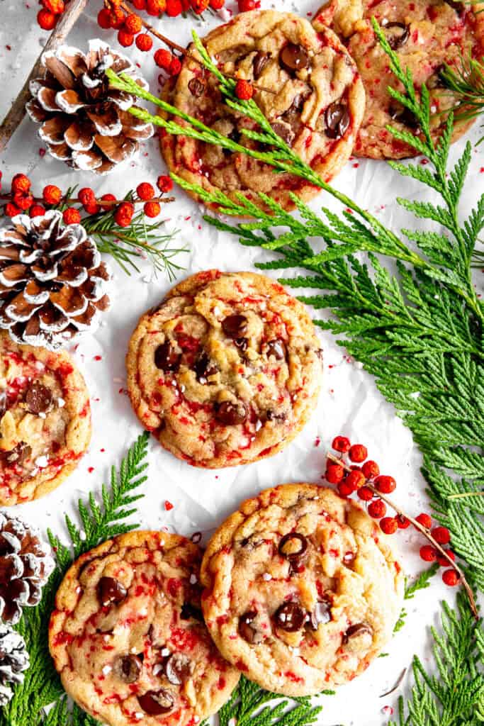 Candy cane chocolate chip cookies, frosted pinecones, holly berries and fern leaves.