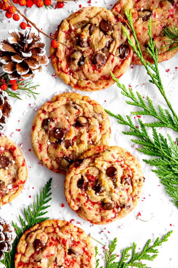 Candy cane chocolate chip cookies, frosted pinecones and fern leaves.