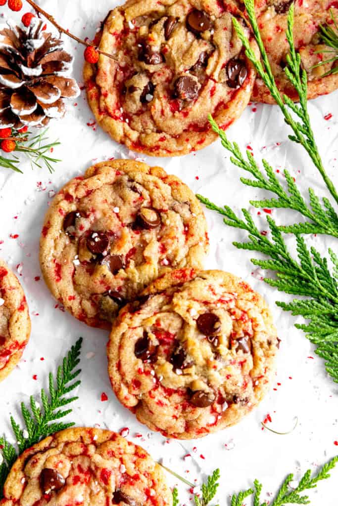 Candy cane chocolate chip cookies, frosted pinecones and fern leaves.