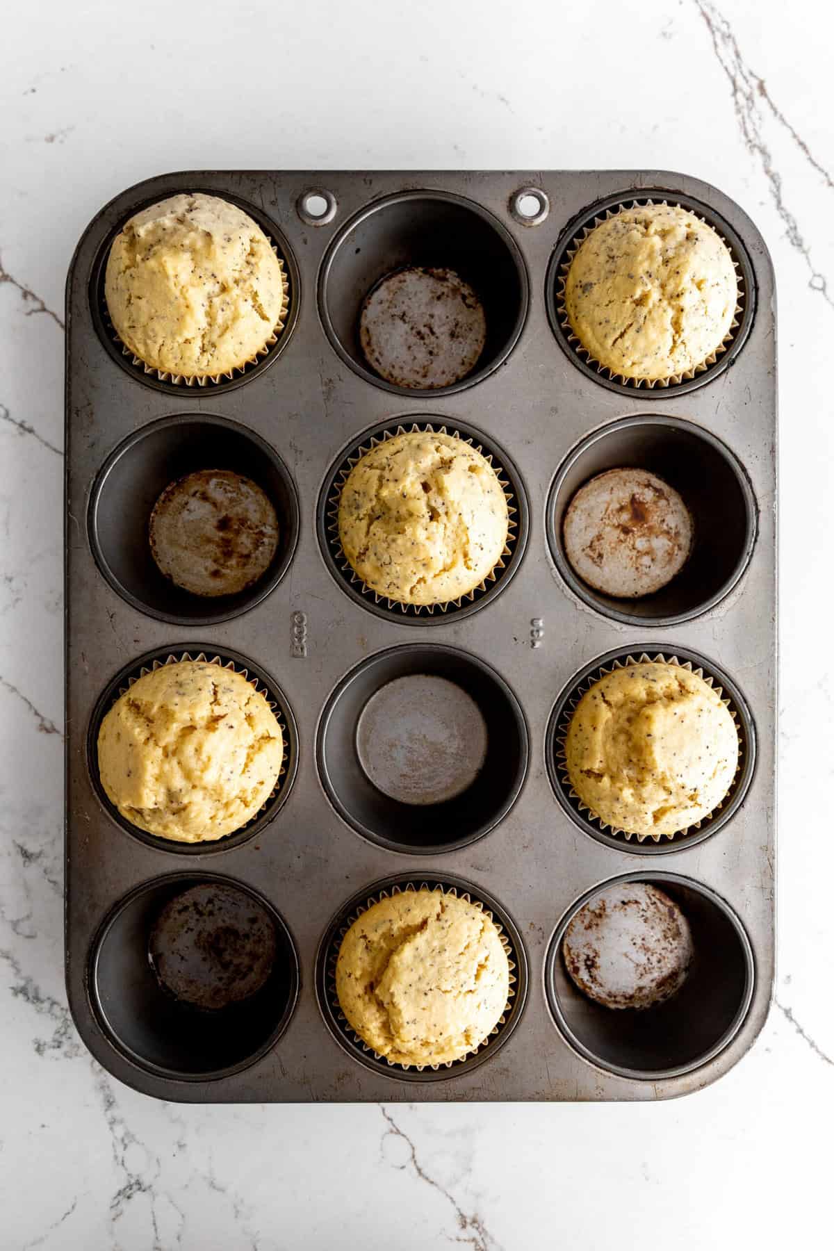 Baked almond poppy seed muffins in a cupcake pan.