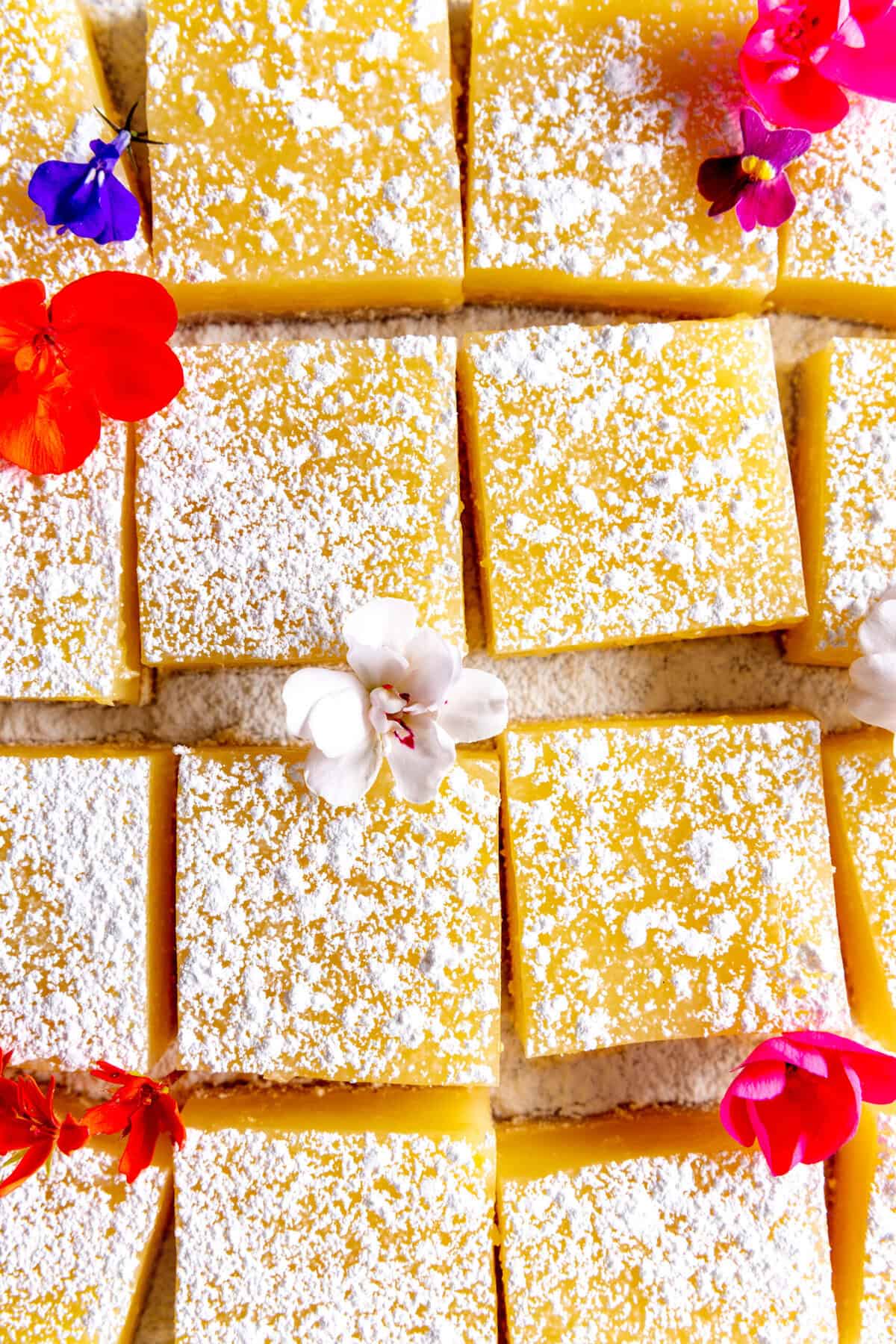 Lemon bars topped with powdered sugar and flower petals.