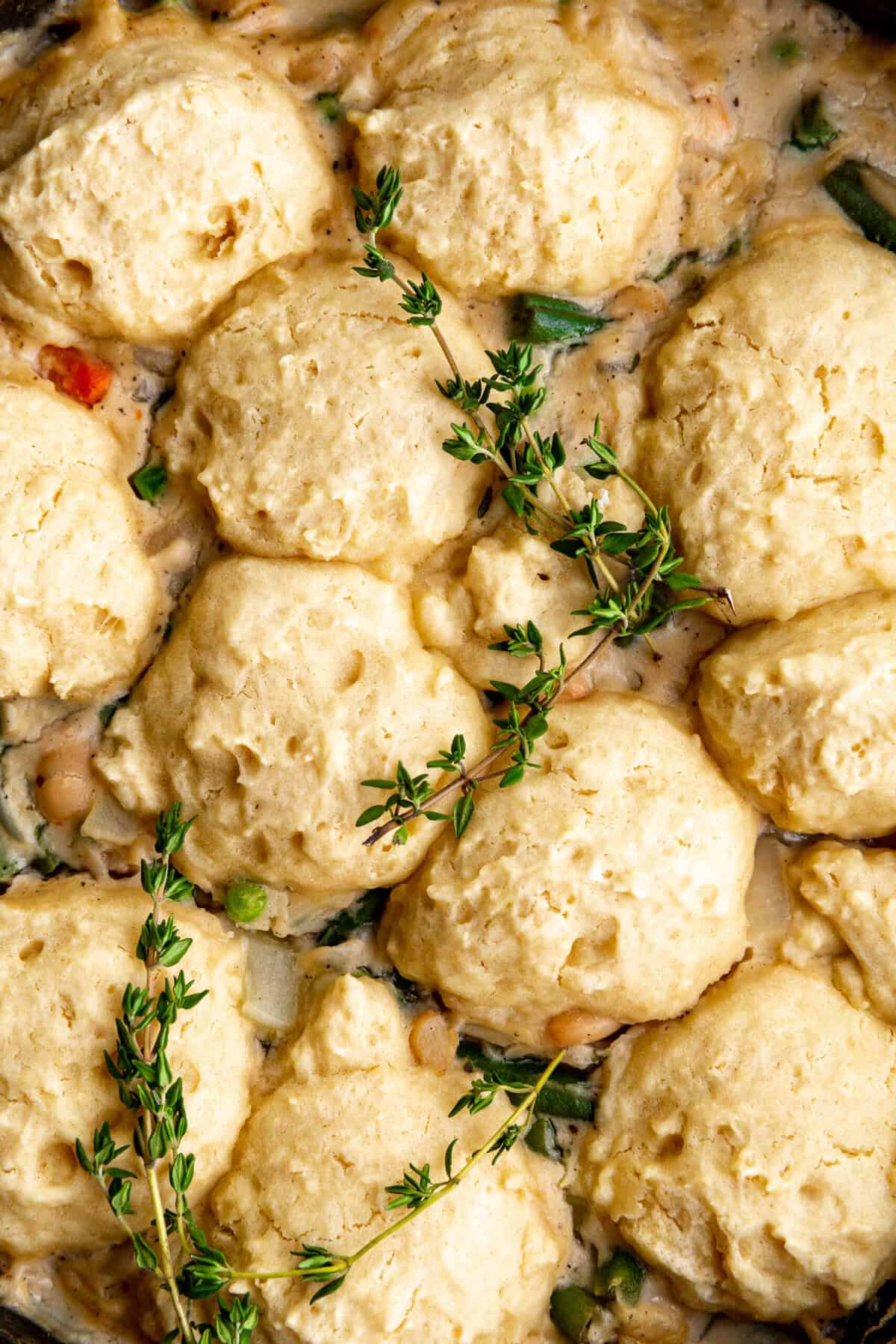 Biscuit dumplings with sprigs of thyme.