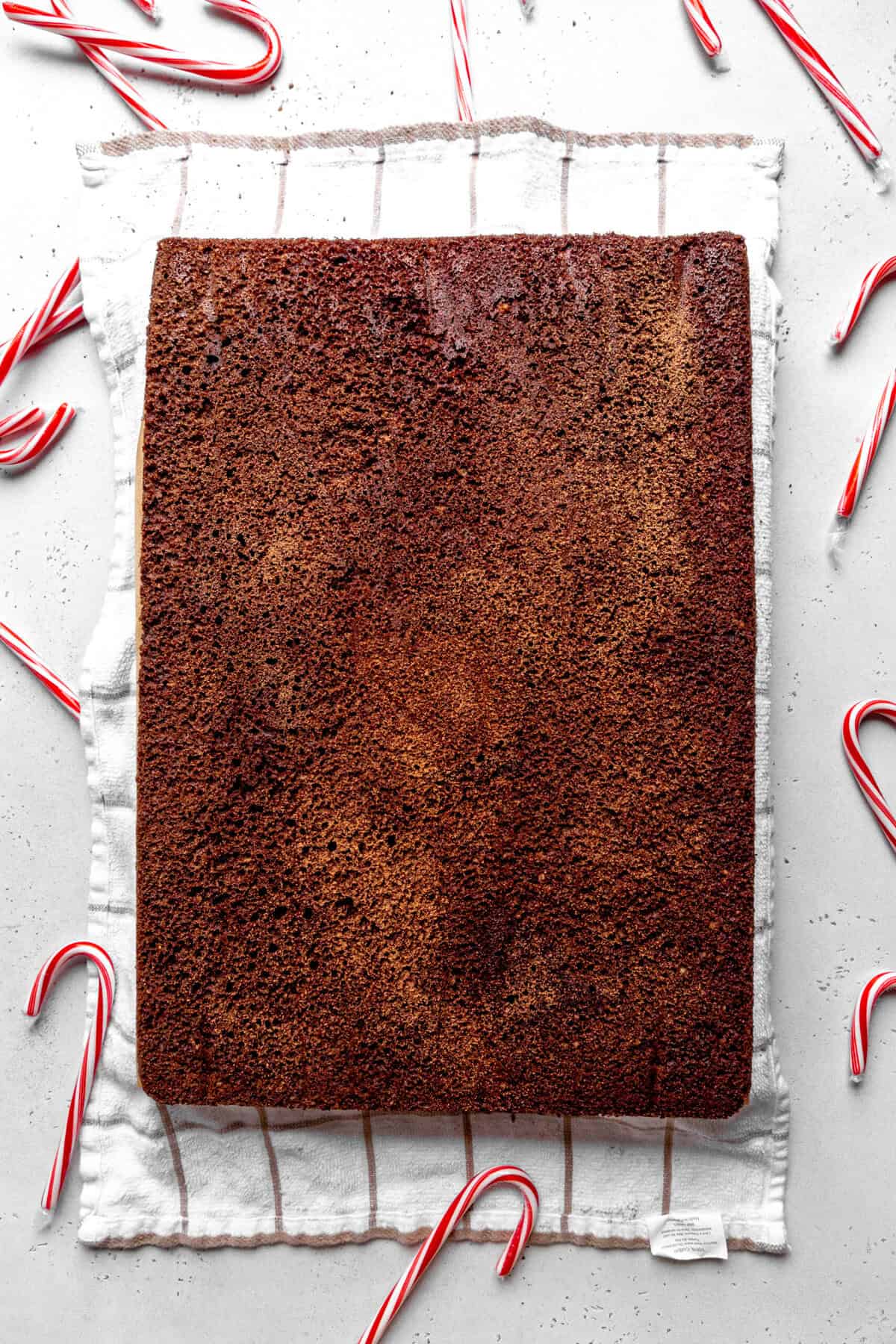 Baked chocolate cake lying on a towel.