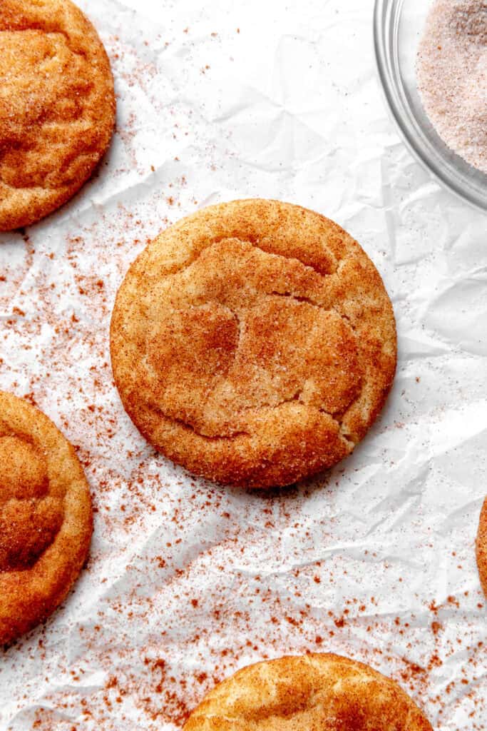 One, single vegan snickerdoodle cookie.