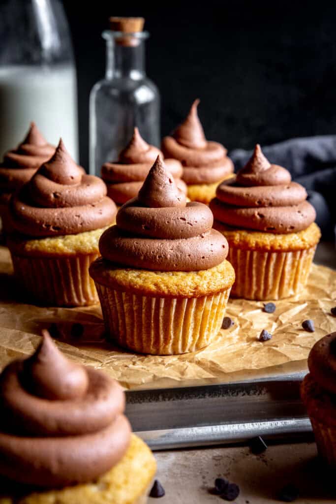 Vanilla cupcake with chocolate frosting and mini chocolate chips.