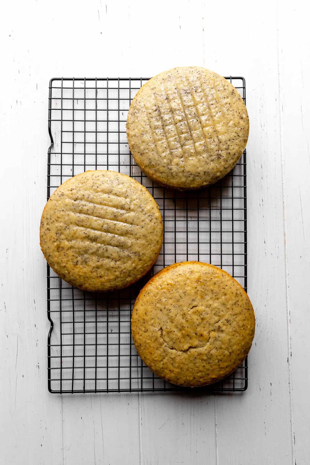 Baked lemon poppyseed cake layers on a wire cooling rack.