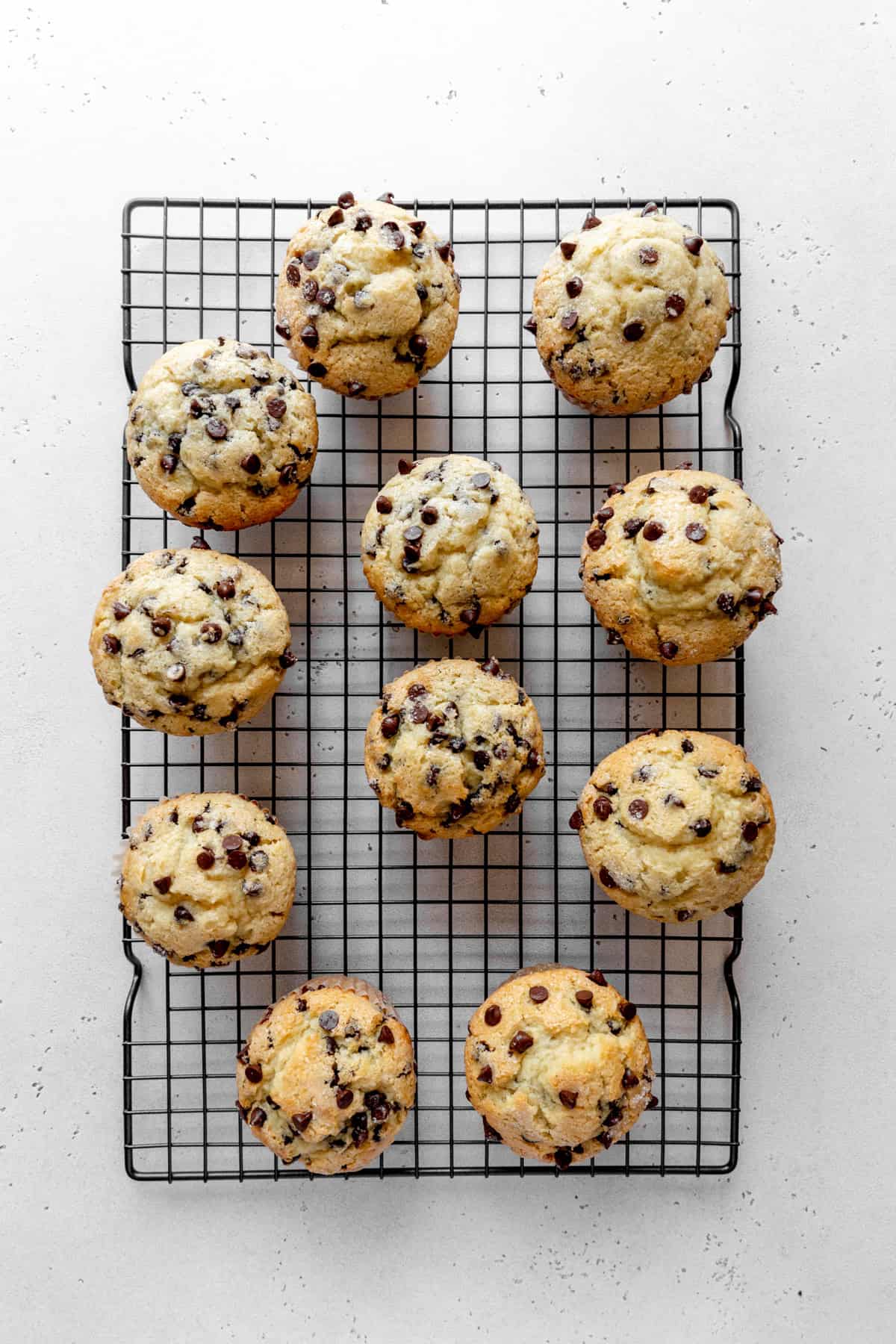 Baked chocolate chip muffins on a wire cooling rack.