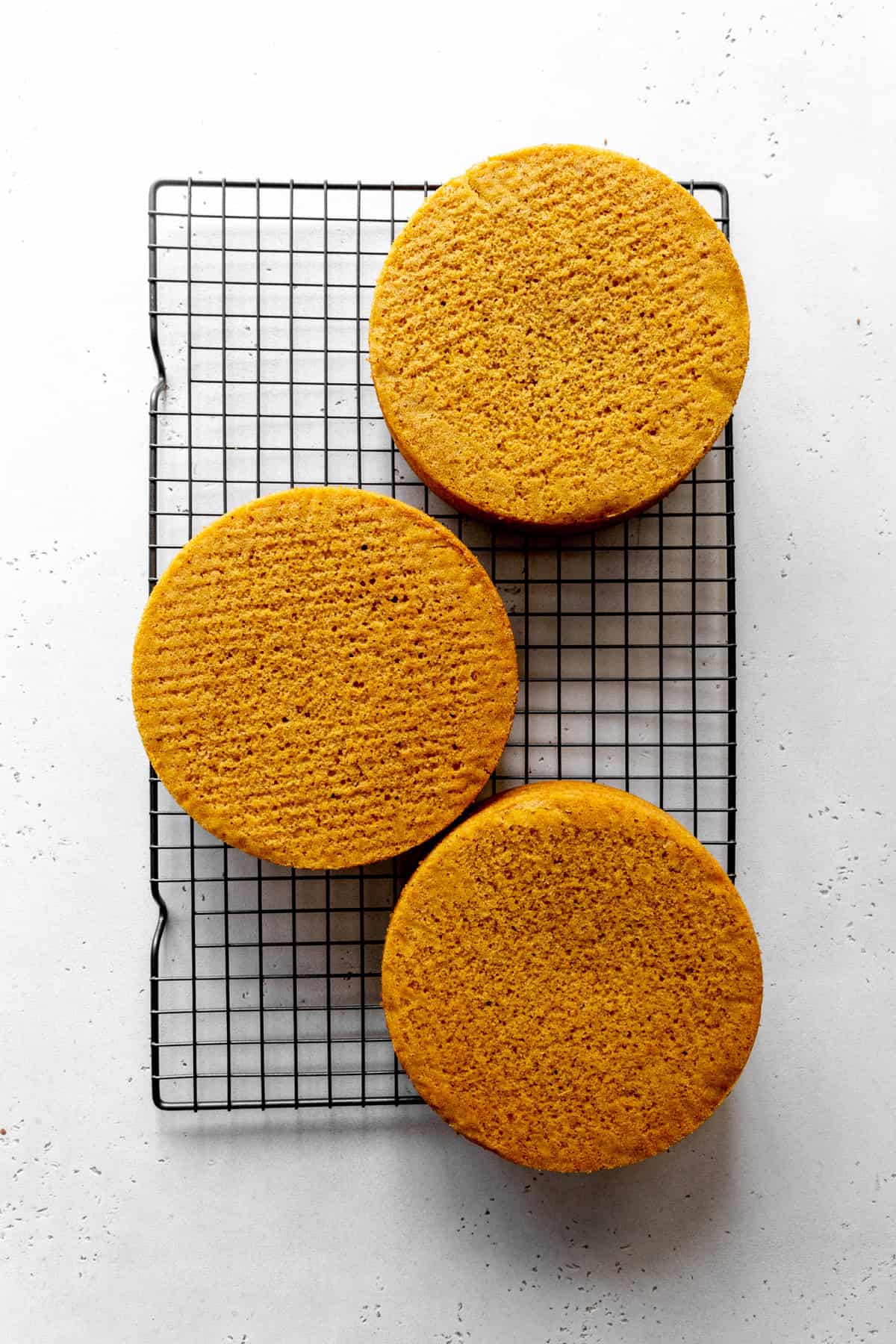 Baked pumpkin cake layers on a wire cooling rack.