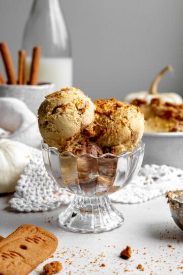 Dish of pumpkin spice ice cream, a cup of cinnamon sticks and a jug of milk.