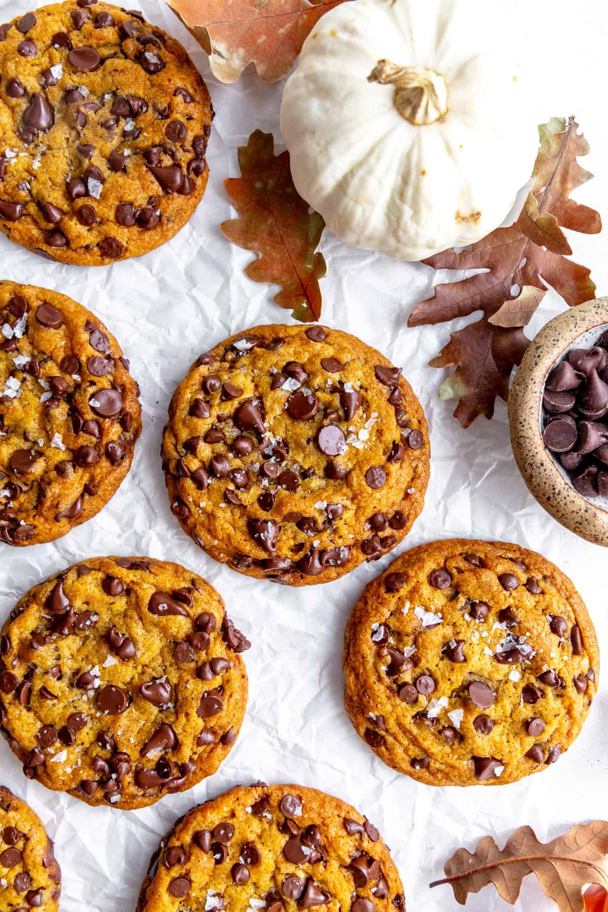Pumpkin chocolate chip cookie, a white pumpkin and a cup of chocolate chips.